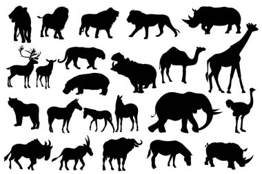 Vahşi hayvanlar vektör illüstrasyonu oluşturdu