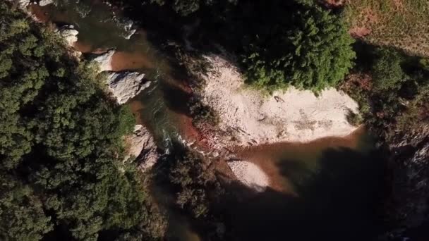 Aerial Footage Beautiful Landscape Shallow River Rocks Trees — Stock Video