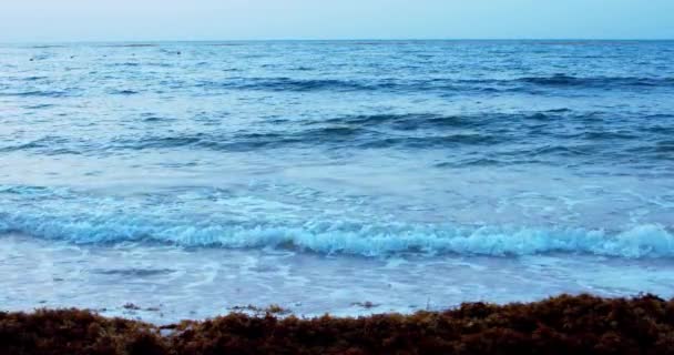 Las Primeras Olas Mañana Hora Azul — Vídeo de stock