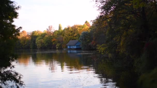 Красивий Вид Озеро Оточене Зеленню Сільській Місцевості Румунії — стокове відео
