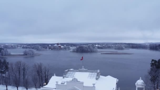 冬にはガルヴェ湖の近くの凍った木々に囲まれたウズトラキスマナーの空中スローモーション — ストック動画