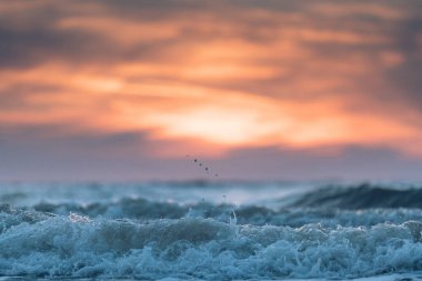 Gün batımında seçici bir deniz dalgası