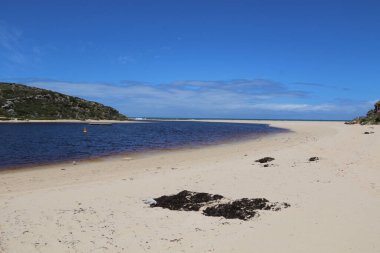 Avustralya 'da Moore Nehri' nin bir sahnesi.