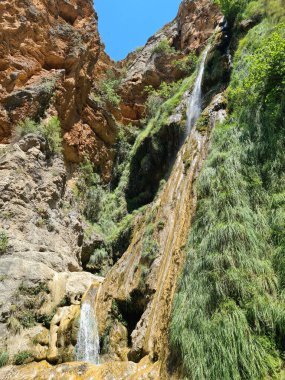 Yosunlu kayaların üzerinden akan ormandaki güzel bir şelalenin dikey görüntüsü.