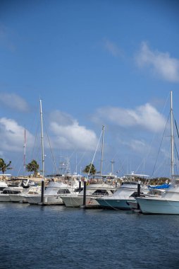 Meksika, Cancun 'da bir limanda park edilmiş teknelerin dikey görüntüsü.