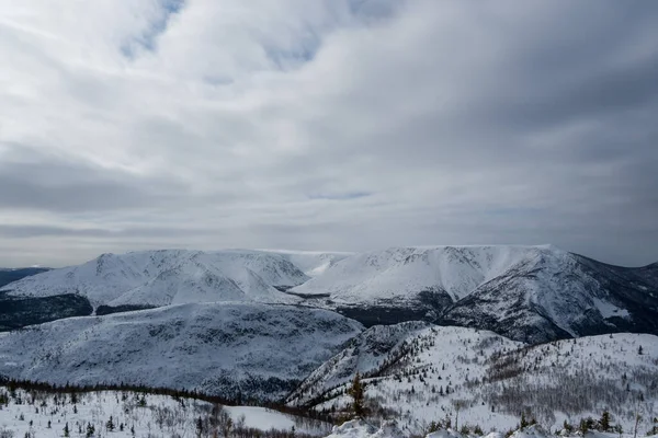 Красивый Зимний Пейзаж Горы Лес Горы Покрытые Снегом Пасмурный День — стоковое фото