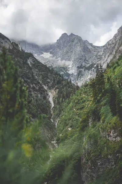 Вертикальный Снимок Скалистых Ландшафтов Частично Покрытых Зелеными Деревьями Фоне Облачного — стоковое фото