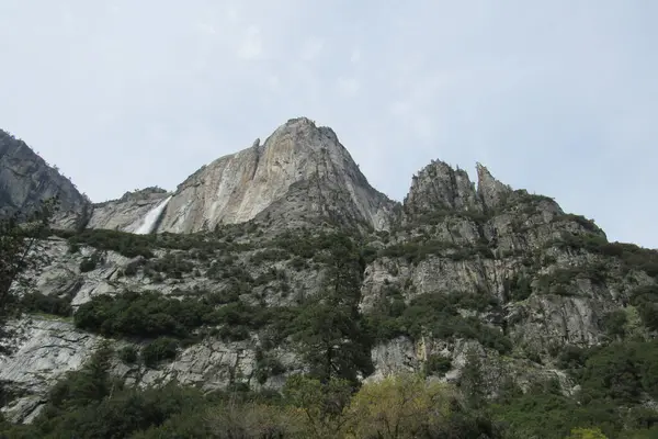 Ein Flacher Blick Auf Schöne Bäume Der Nähe Der Berge — Stockfoto