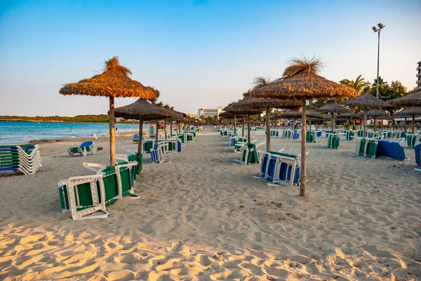 Blue Green Sunbeds Thatch Parasols Sandy Beach Majorca Spain — Stock Photo, Image