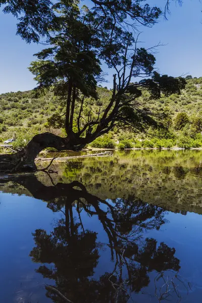 Eine Vertikale Aufnahme Eines Schönen Sees Der Nähe Der Berge — Stockfoto