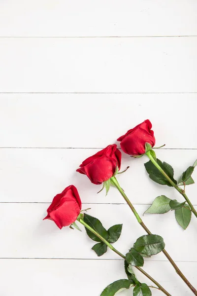 Tiro Vertical Três Rosas Vermelhas Isoladas Fundo Branco — Fotografia de Stock