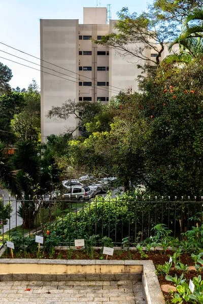 Horta Cultivada Área Urbana Condomínio Prédios Residenciais Localizado Cidade São — Fotografia de Stock