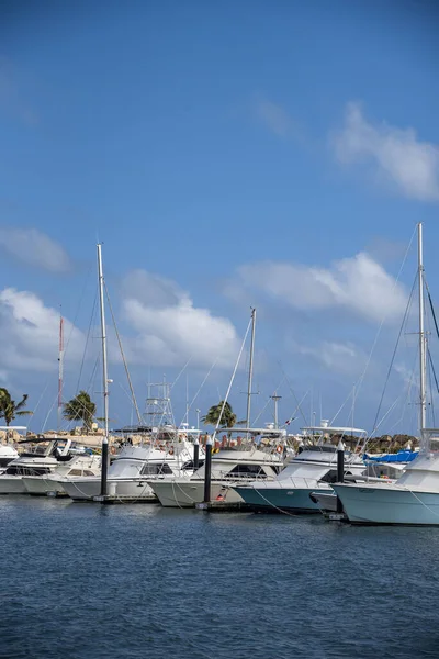 Een Verticaal Schot Van Boten Geparkeerd Bij Een Haven Cancun — Stockfoto