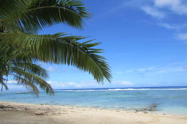 Una Vista Una Playa Tropical Con Palmeras Las Islas Cook — Foto de Stock