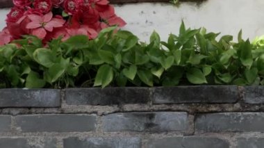 Macau, Çin 'deki Aziz Maria heykelinin alt görüntüsü.