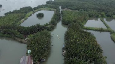 Hoi An, Vietnam 'daki Mau Körfezi Hindistan cevizi ormanının havadan görünüşü.