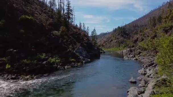 Lotu Ptaka Spadającego Dół Rzeki Schodzącego Pięknej Zielonej Rzeki Niski — Wideo stockowe