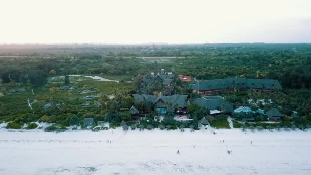 Légi Kilátás Üdülőhelyek Pálmafák Napsütötte Partján Zanzibár Afrika — Stock videók