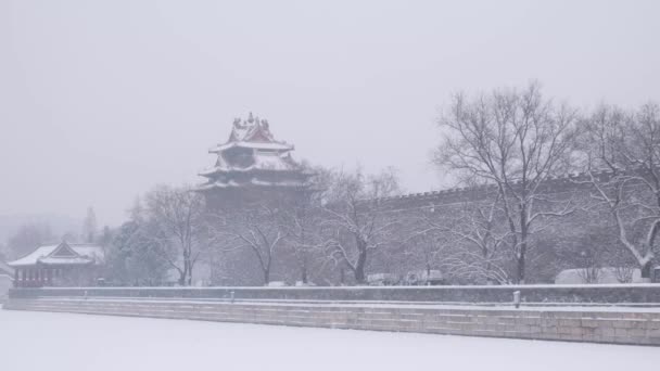 Salón Con Legendaria Decoración Bestia Alero Nieve Ciudad Prohibida China — Vídeos de Stock