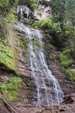Yosun tutmuş bir kayanın üzerindeki şelalenin dikey görüntüsü.