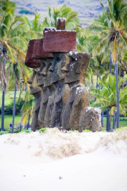 A vertical shot of Moai monolithic whole-body human figures in Easter Island in background of palms