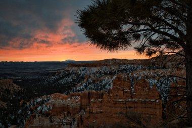 Bryce Kanyonu Ulusal Parkı, ABD