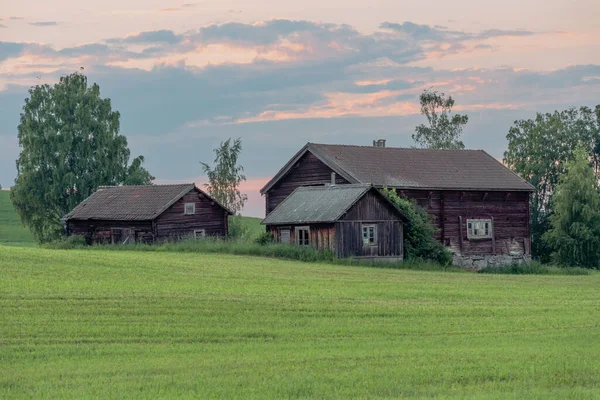 Die Braunen Holzhäuser Auf Dem Land Schweden Grünen Licht Des — Stockfoto