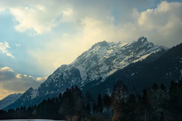 オーストリア テンフェンスの森と氷の山の風景の景色 — ストック写真