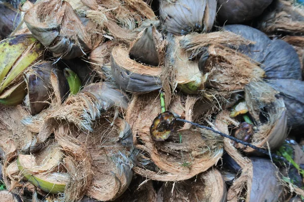 Quadro Cheio Coco Casca Fibrosa Poeira Que Compõe Camada Externa — Fotografia de Stock