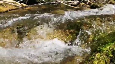 Gündüz vakti akan bir nehrin yakın çekim görüntüsü.