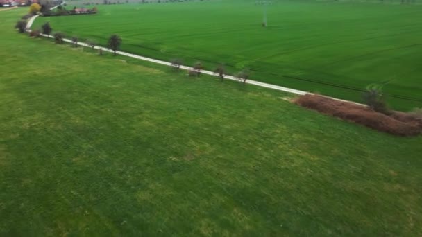 Una Vista Ipnotizzante Campo Verde Circondato Alberi Edifici Piccolo Corso — Video Stock