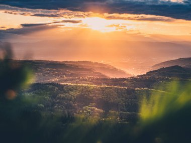 Almanya 'da günbatımında güzel bir ormanın hava manzarası