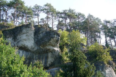 Etrafı bereketli doğayla çevrili bir ormandaki kaya oluşumlarının manzarası.