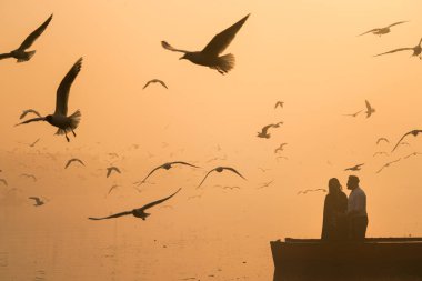 Yamuna Ghat, Delhi 'de çekilen Cennet benzeri güzel bir sahne.