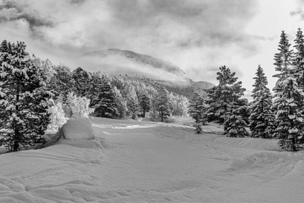 Piękne Czarno Białe Tło Śniegu Drzewami Chmurami Puszystym Śniegiem Idealne — Zdjęcie stockowe
