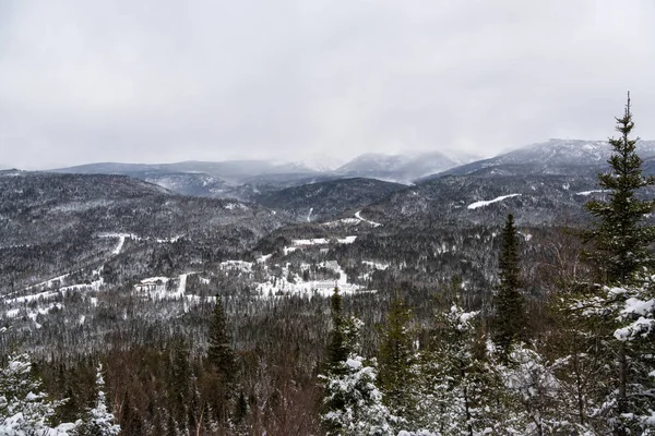 Фоне Снежного Пейзажа Деревьями Облаками Пушистым Снегом Маленьким Городком Горах — стоковое фото