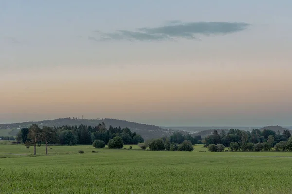 Uma Paisagem Campo Verde Árvores Campo Suécia — Fotografia de Stock