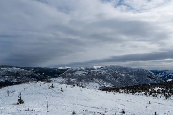 Uma Bela Paisagem Inverno Vale Montanha Floresta Montanhas Cobertas Neve — Fotografia de Stock
