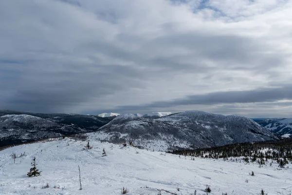 曇りの日に雪に覆われた美しい冬の風景 山の谷 森と山 — ストック写真