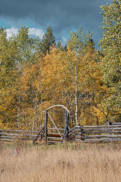 Vertical Shot Wooden Gate Autumn Forest 100 Mile Canada — Stock Photo, Image