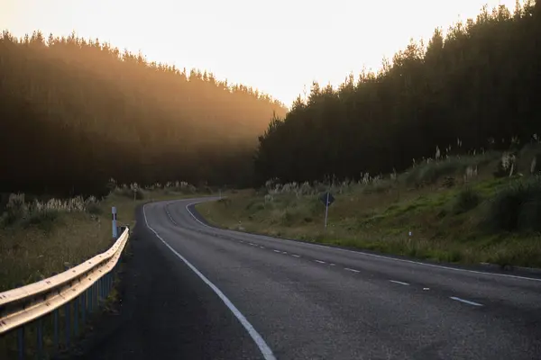 Uma Estrada Curva Com Árvores Ambos Lados Céu Brilhante — Fotografia de Stock