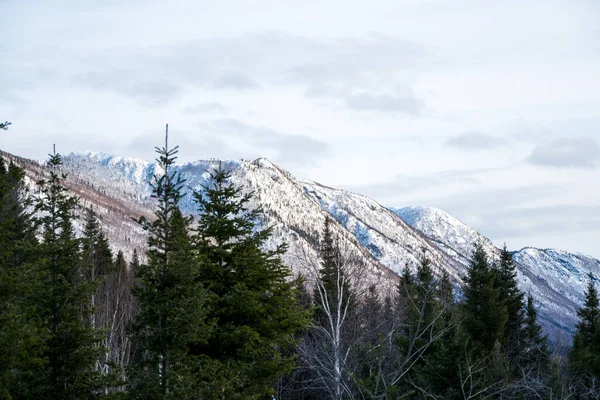 Tallskog Bergssluttningen Berg Täckta Med Snö Solljus Och Molnig Himmel — Stockfoto