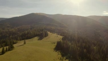 Ukrayna 'daki yeşil orman ve açıklıklarla kaplı Karpat dağlarının hava manzarası.