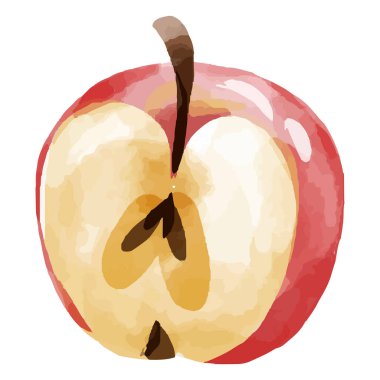 elma vektörü illüstrasyon suluboya simgesi