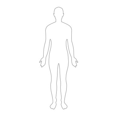 İnsan vücudu anatomisi vektör çizim