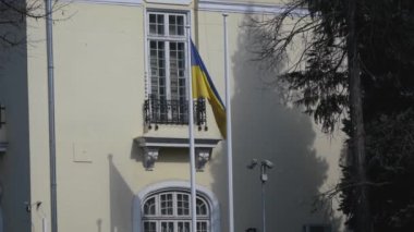 Rüzgarda dalgalanan bir Ukrayna bayrağının yavaş çekimi
