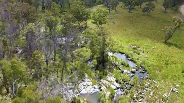 Luftaufnahme Des Old Womens Sumpfes Umgeben Von Bäumen Und Grünen — Stockvideo