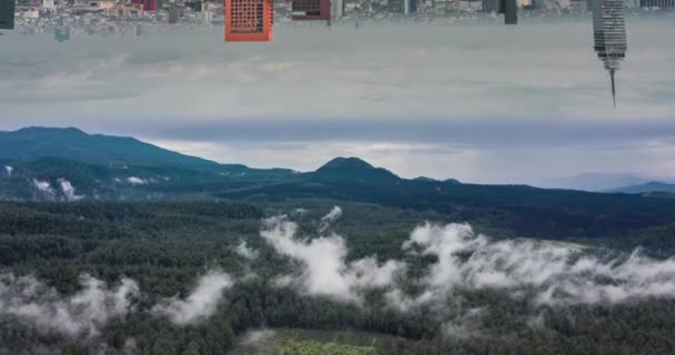 Una Vista Trippy Abstracta Bosque Nublado Con Una Metrópolis Revés — Vídeo de stock