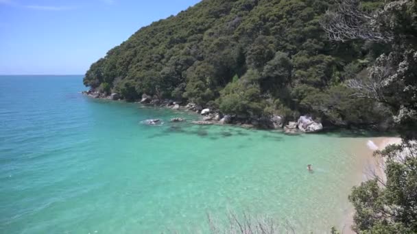 Abel Tasman的白色沙滩 — 图库视频影像