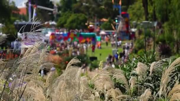 Sebuah Lapangan Berangin Dan Festival Musik Moomba Melbourne Australia — Stok Video